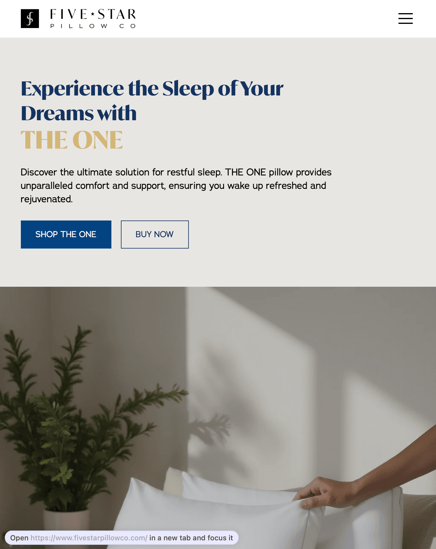 FiveStar Pillow